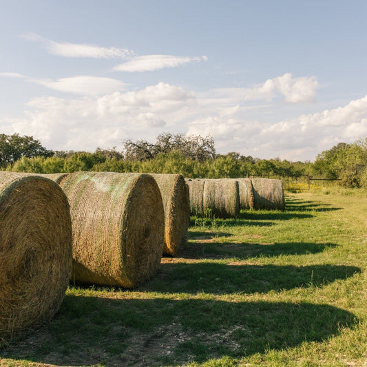 Earth Day at New Canaan Farms: A Second Life for Every Jar