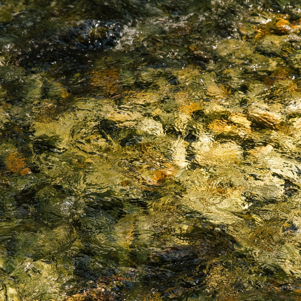 How Utopia’s Spring Water Shapes Our Flavors