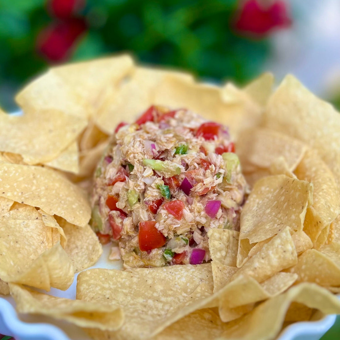 Salmon Ceviche Salad