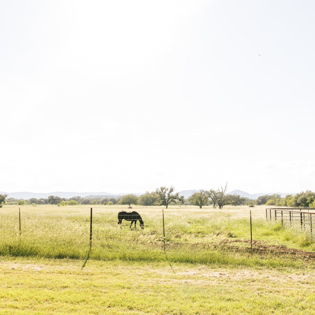 The New Canaan Farms Philosophy of Gathering