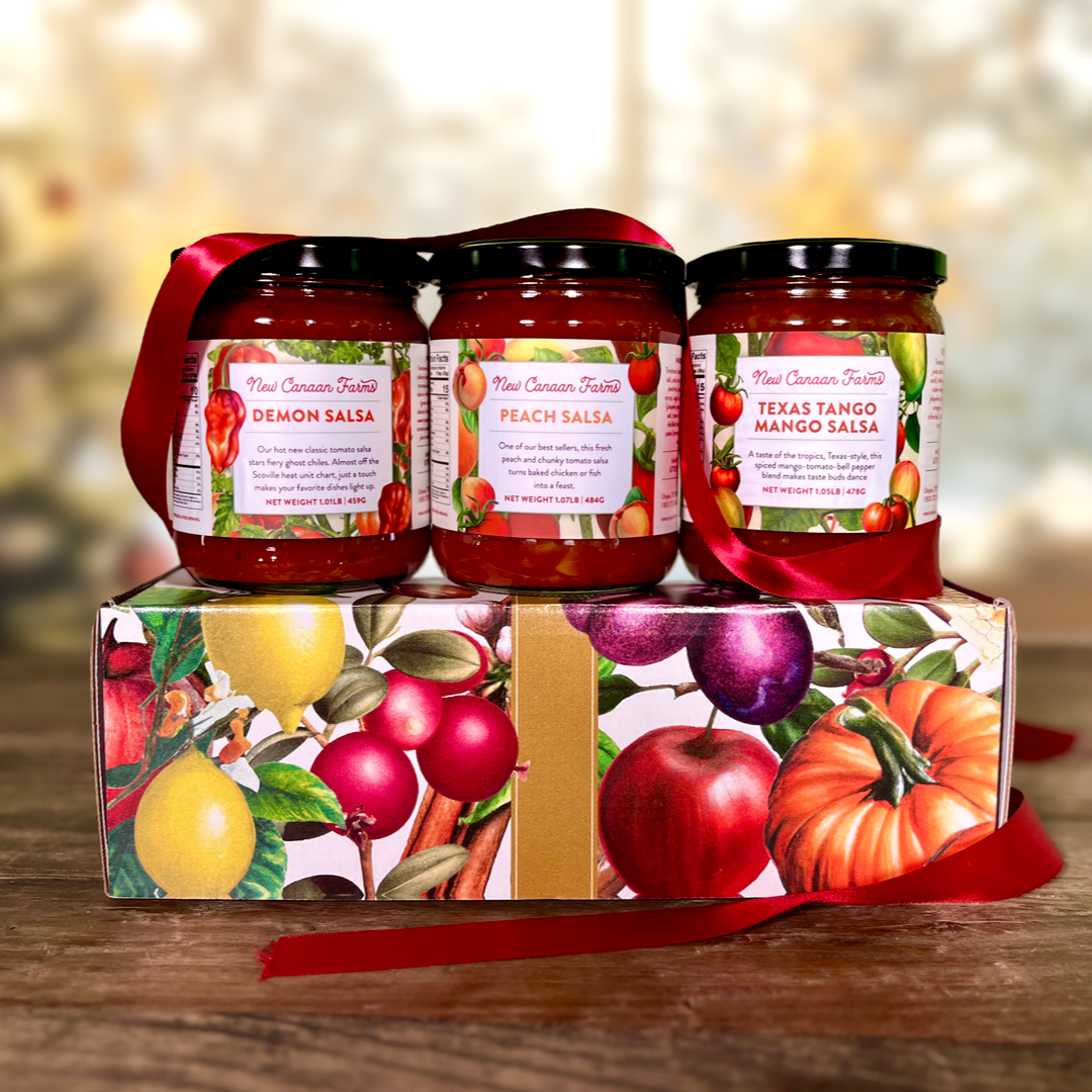 Holiday salsa gift set