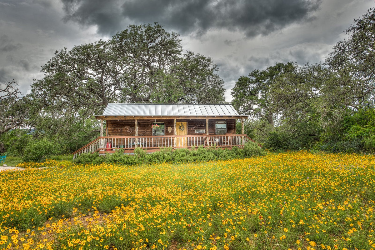 Wooden cabin in a field of yellow flowers with a stormy sky