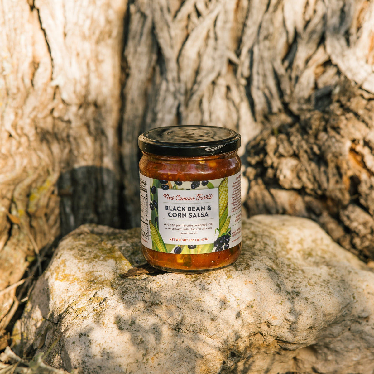 A jar of New Canaan Farms Black Bean & Corn Salsa sitting on a limestone rock in front of a tree trunk
