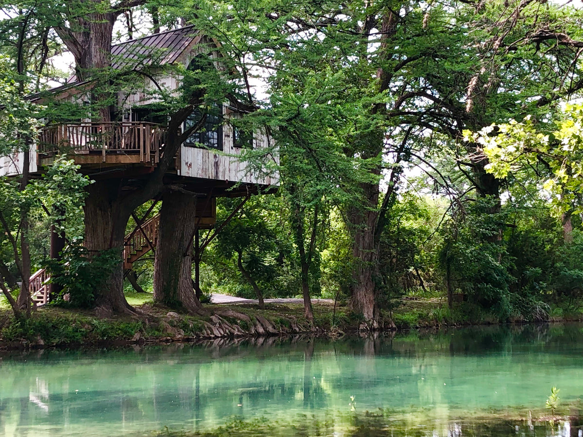 Treehouse nestled among trees by a body of water