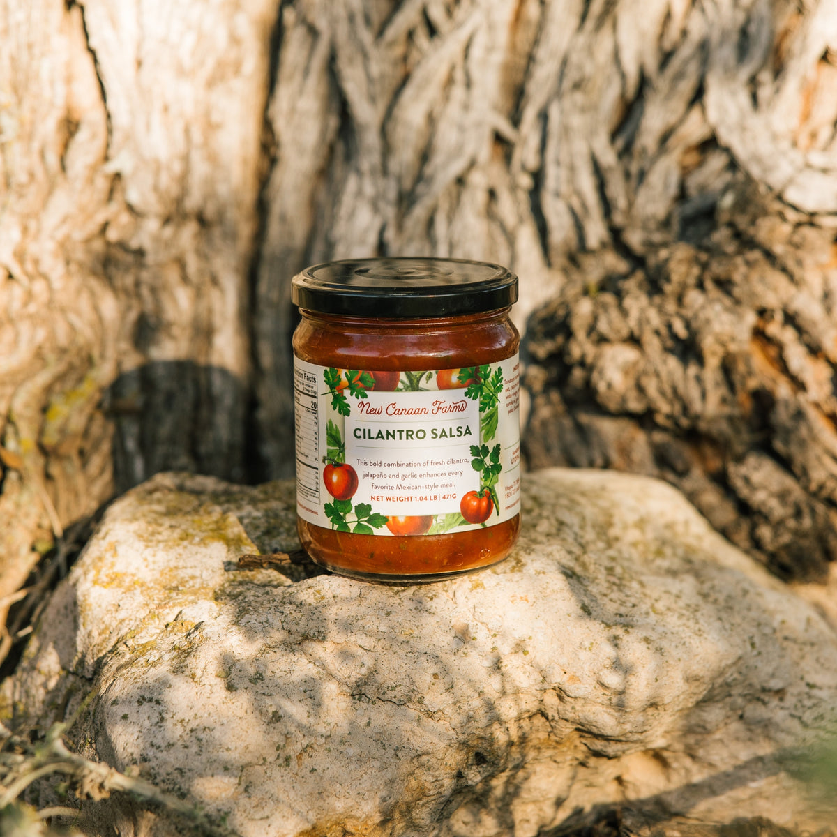 A jar of New Canaan Farms Cilantro Salsa sitting on a limestone rock in front of a tree trunk