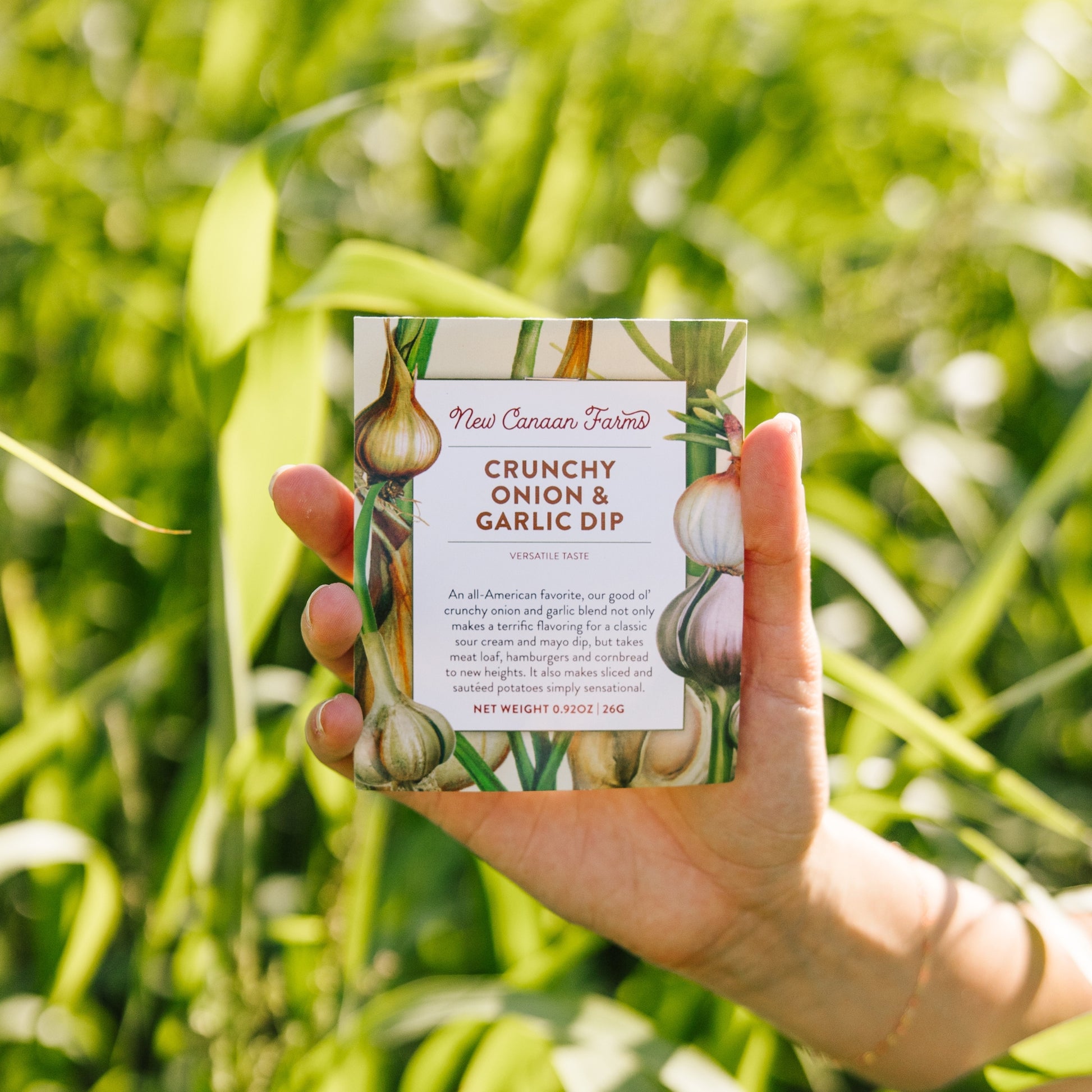 Crunchy Onion Garlic Dip