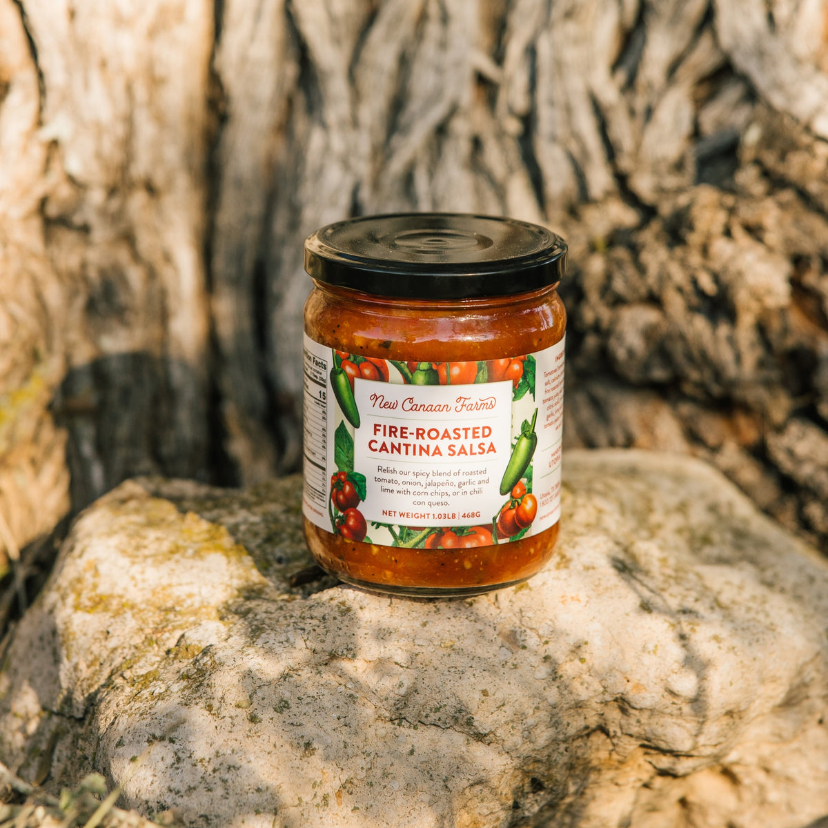 A jar of New Canaan Farms Fire-Roasted Cantina Salsa sitting on a limestone rock in front of a tree trunk