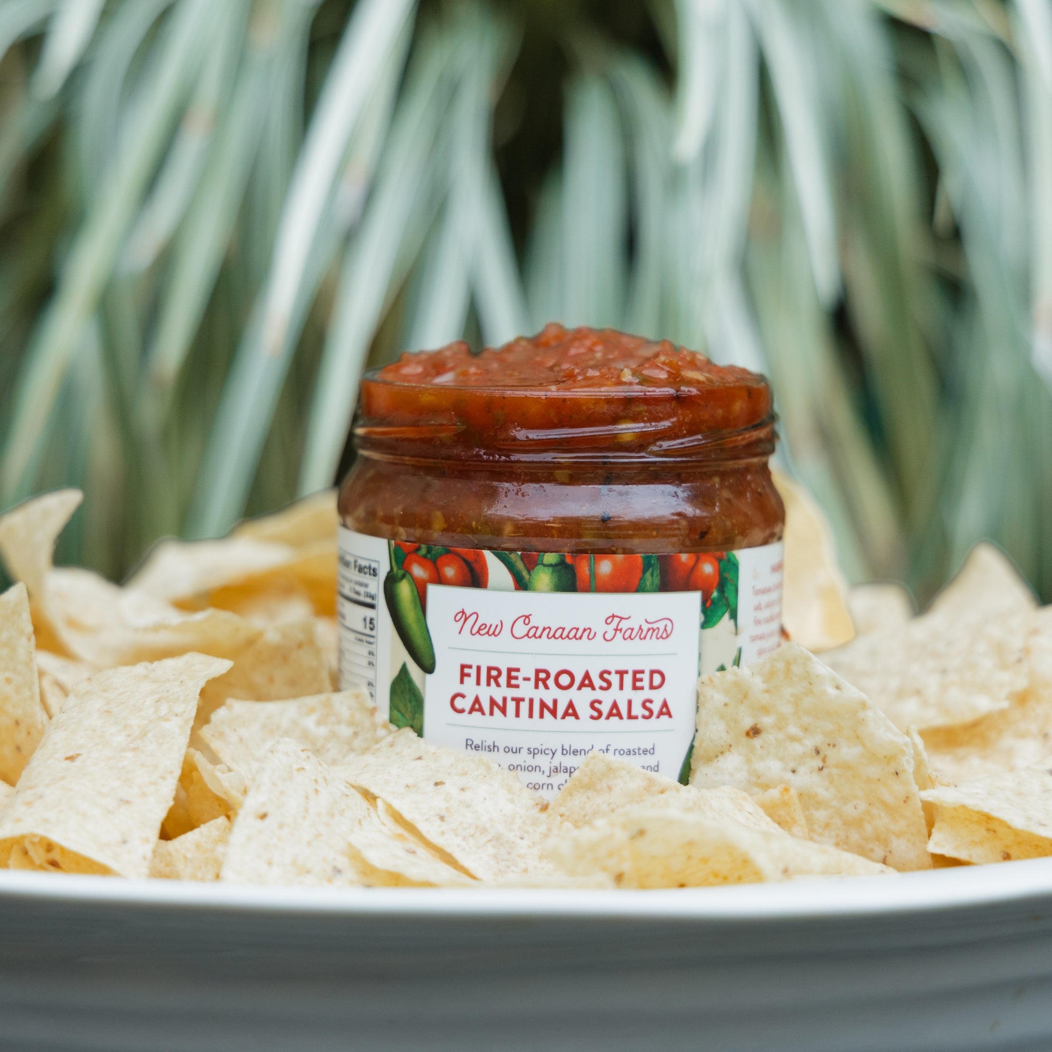 Customer Favorite Salsas | New Canaan Farms – New Canaan Farms