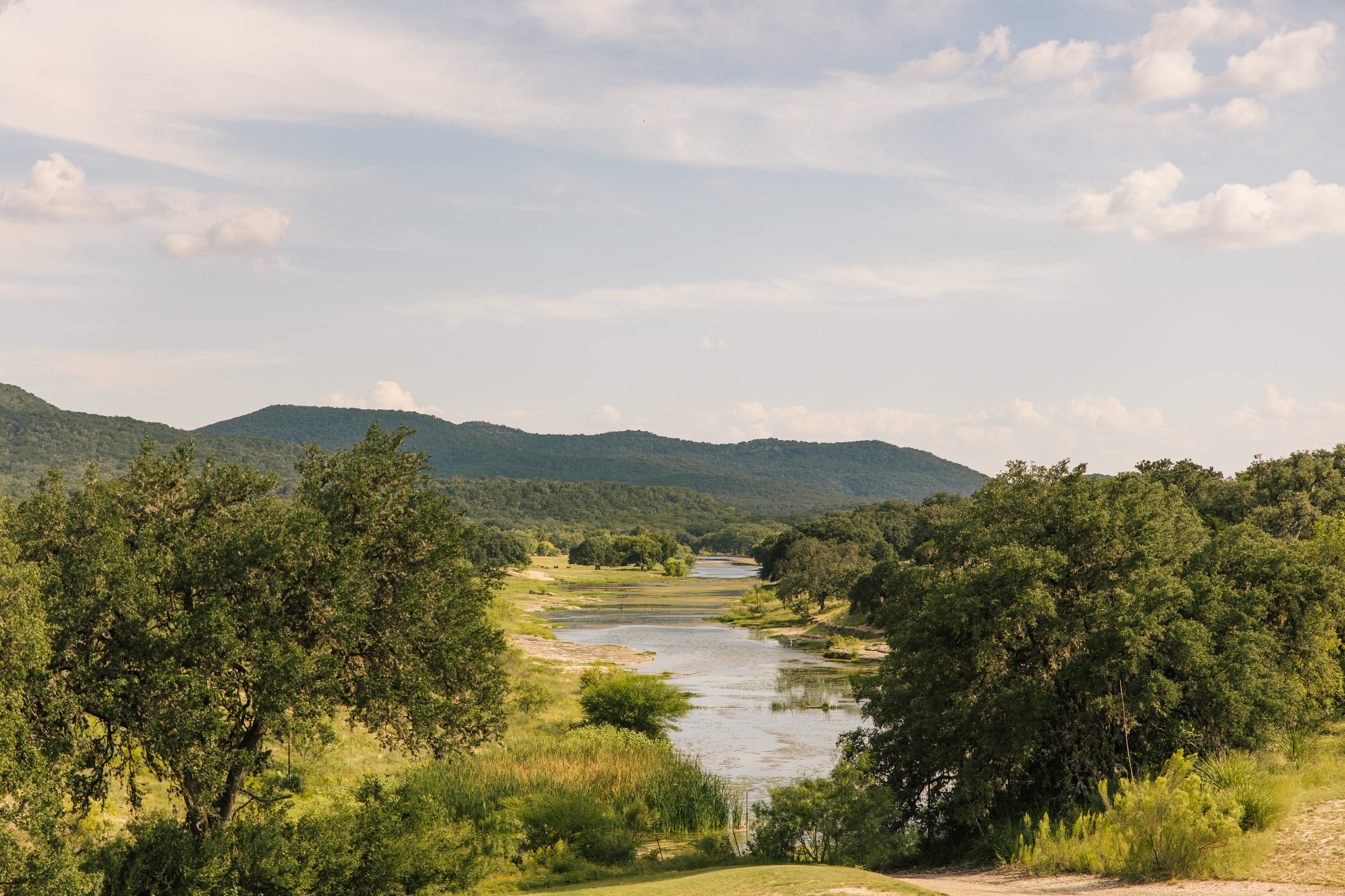 Sunlit Hill Country landscape near the New Canaan Farms kitchen in Utopia, Texas