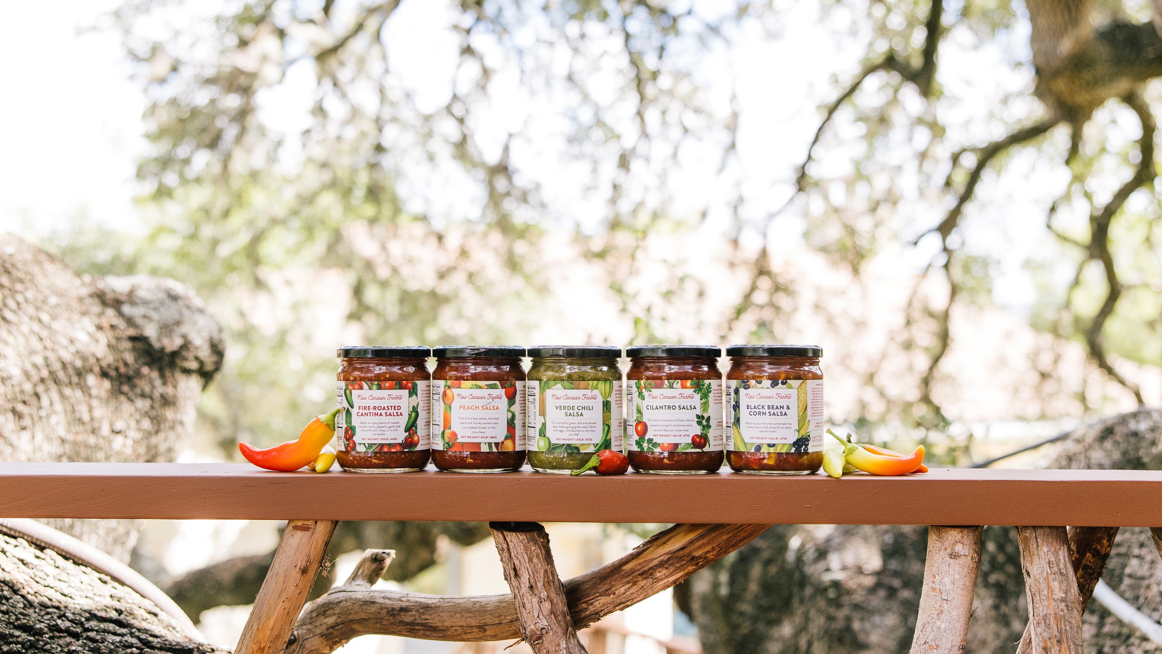 Assortment of Salsas