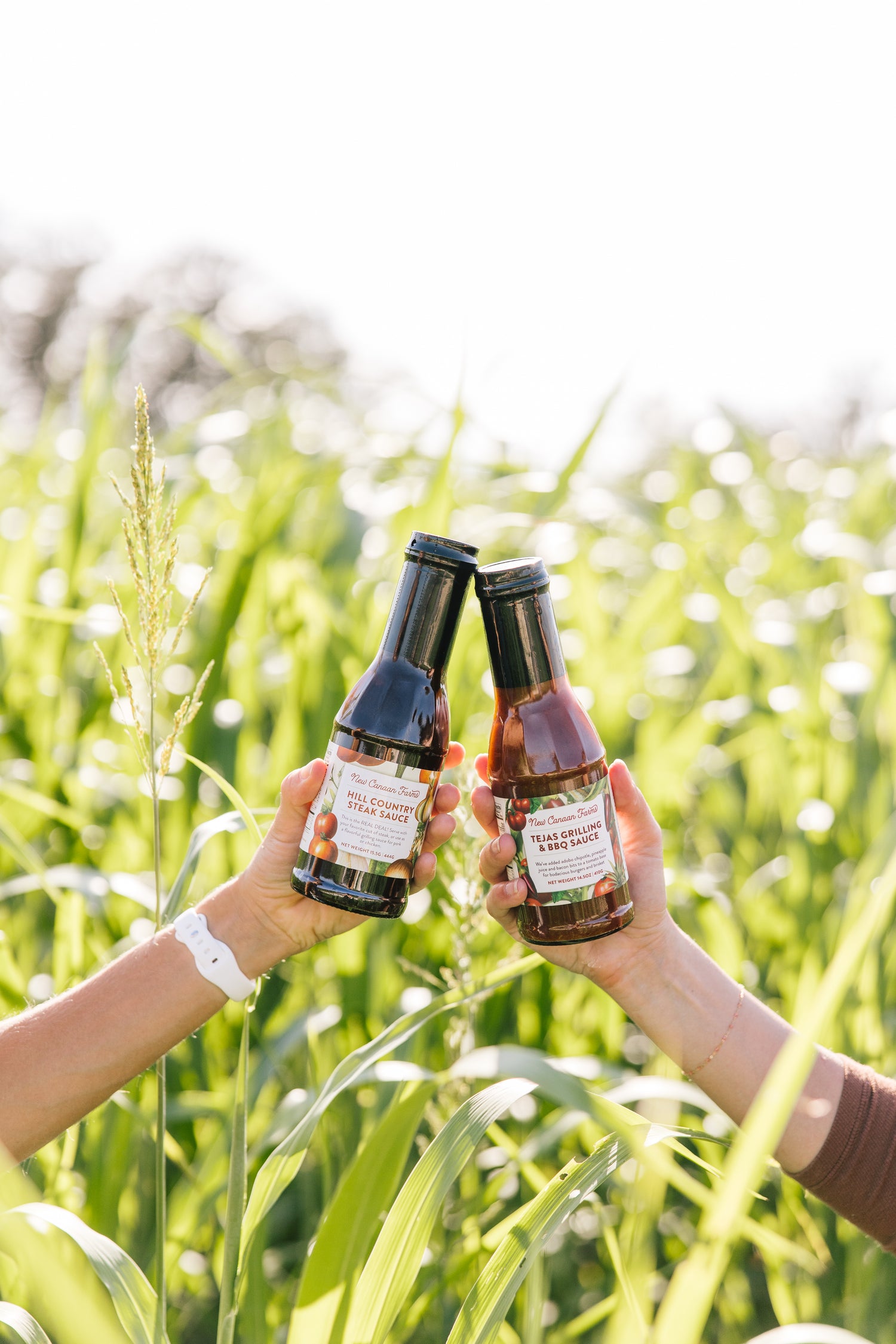 Two bottles of sauces