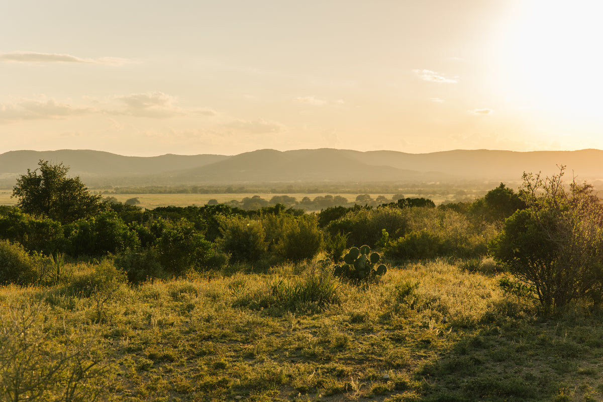 Utopia, Texas