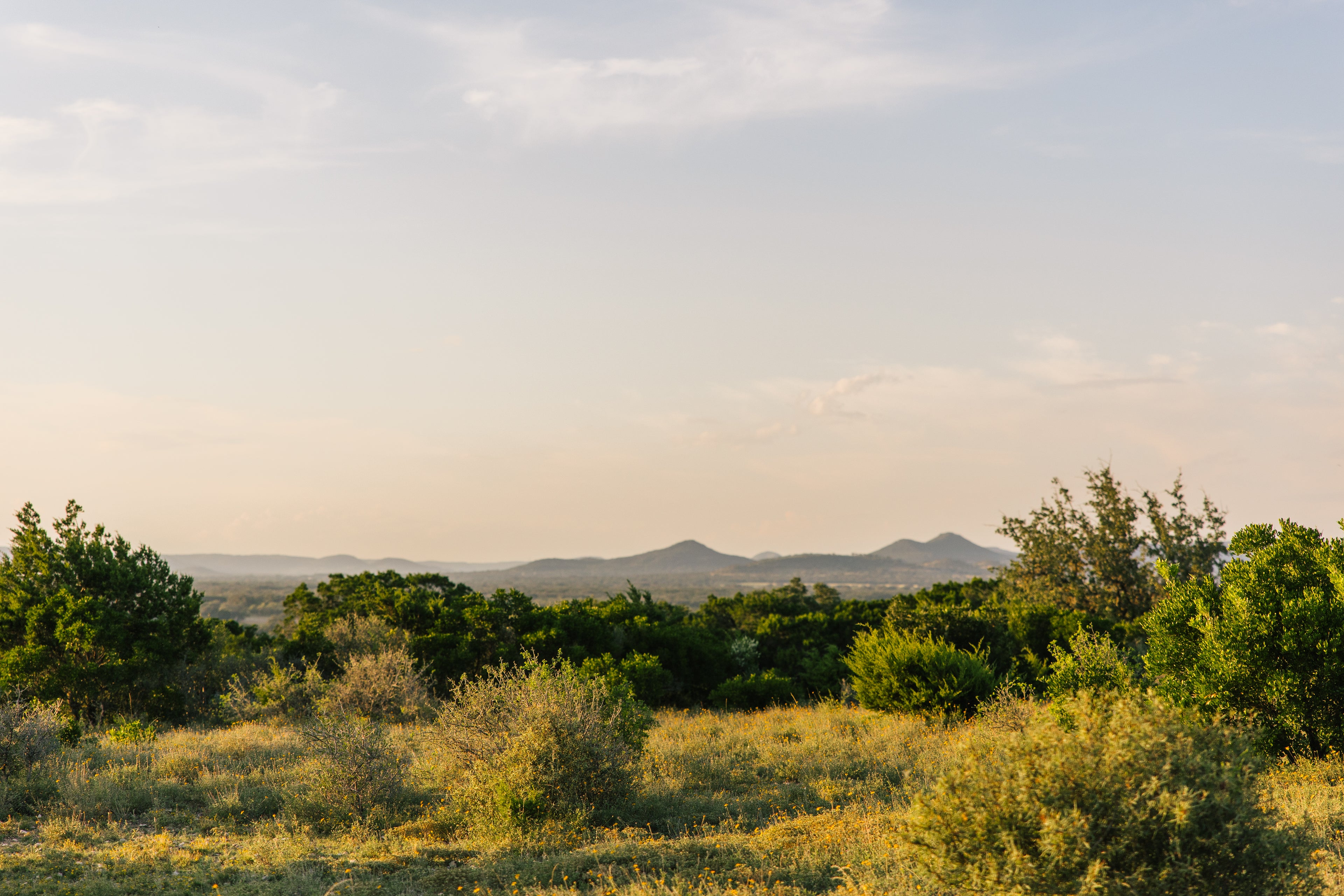 Utopia, Texas Landscape