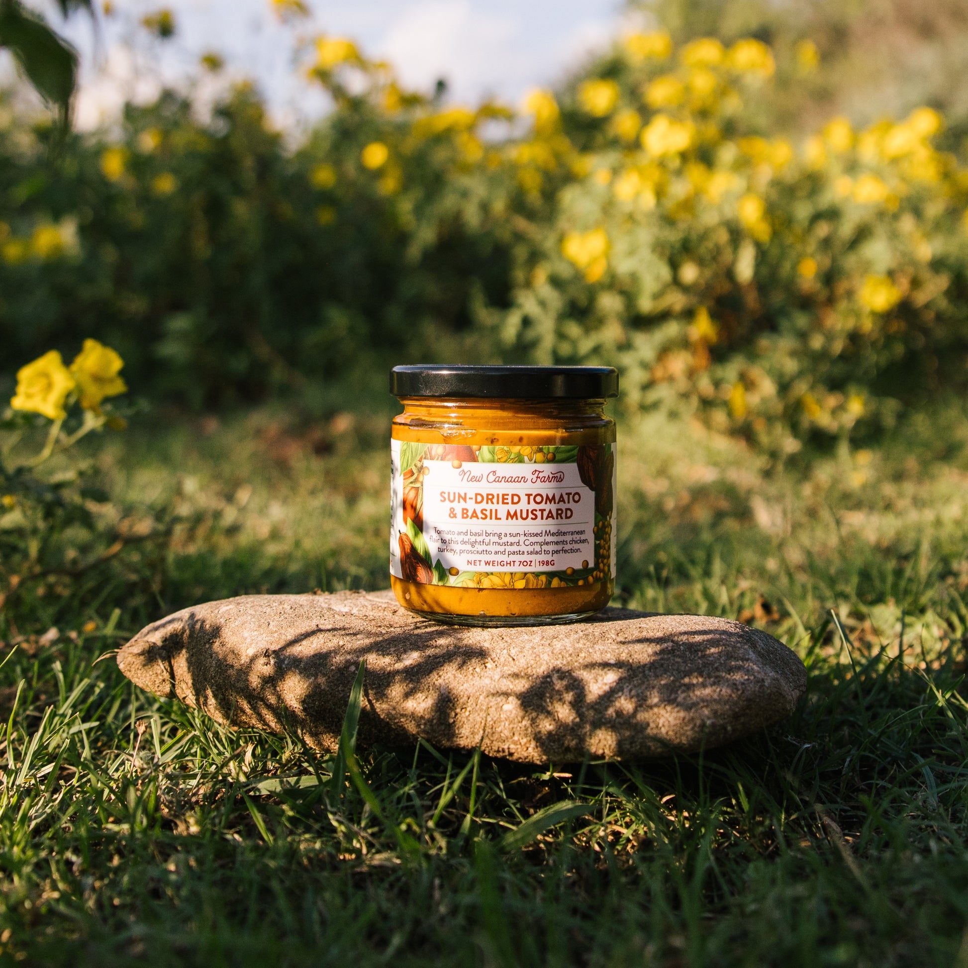 Jar of sun-dried tomato and basil mustard on a stone with a natural background