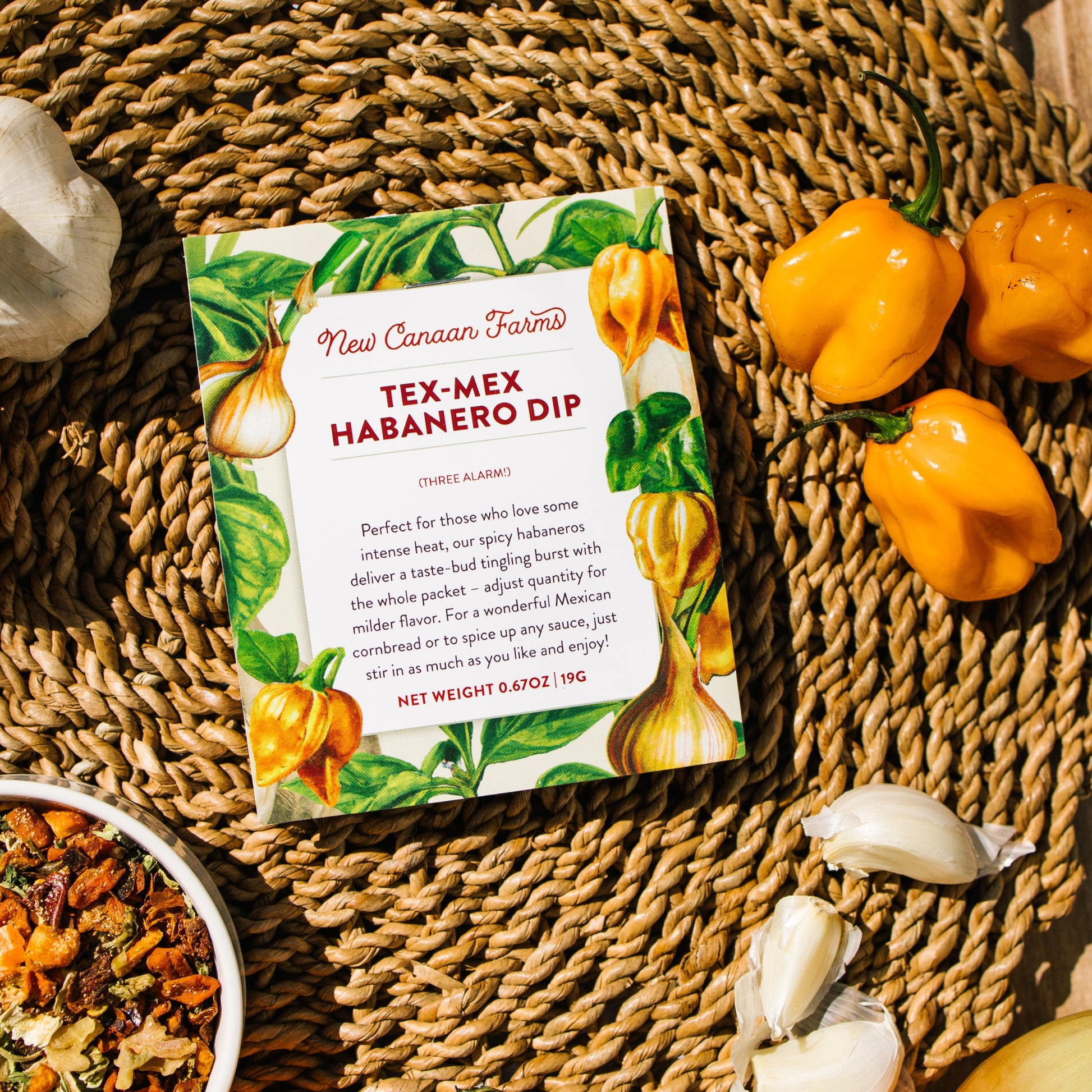 Tex-Mex Habanero Dip