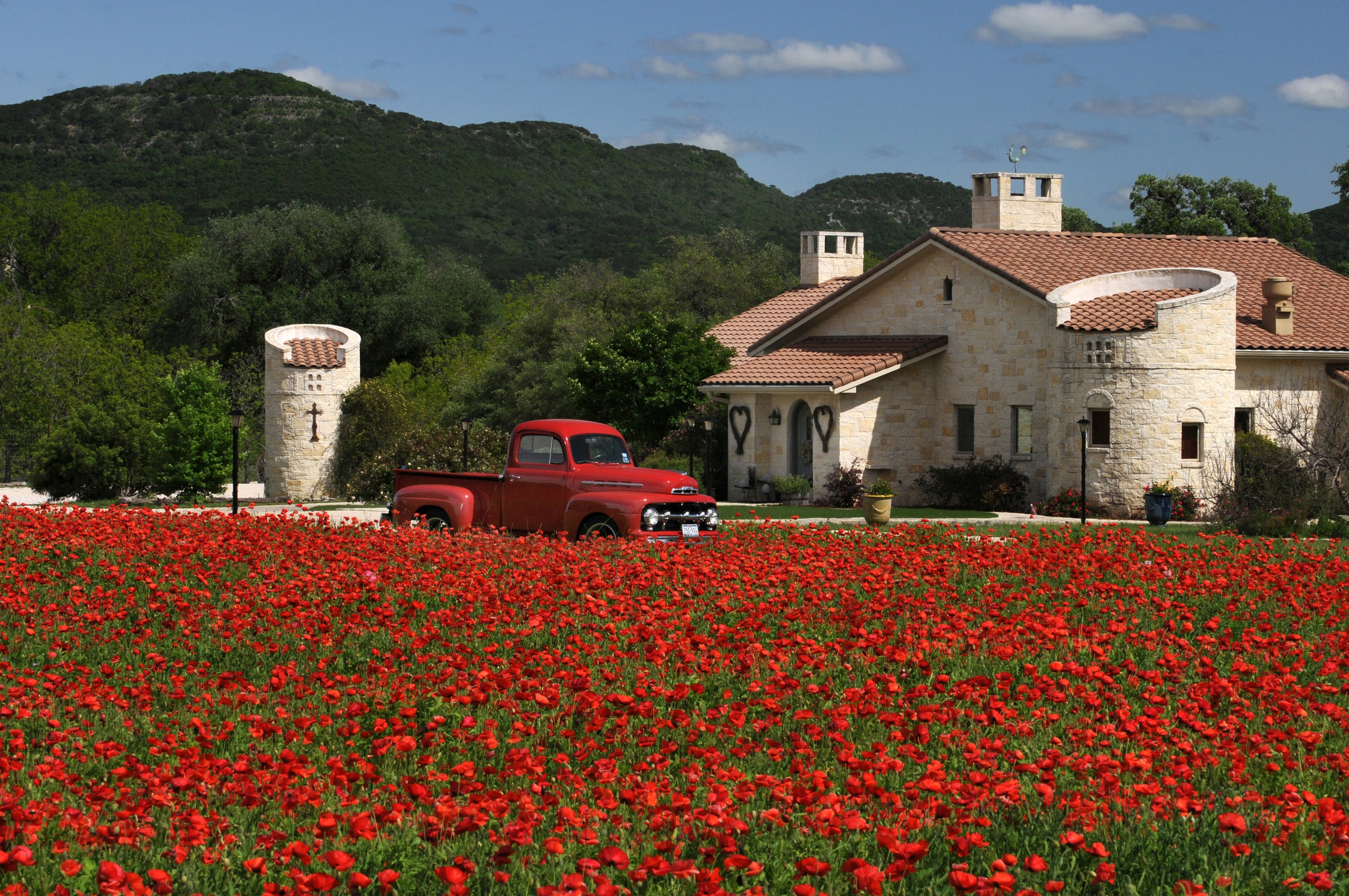 Red truck parked in front of a stone building with a field of red flowers