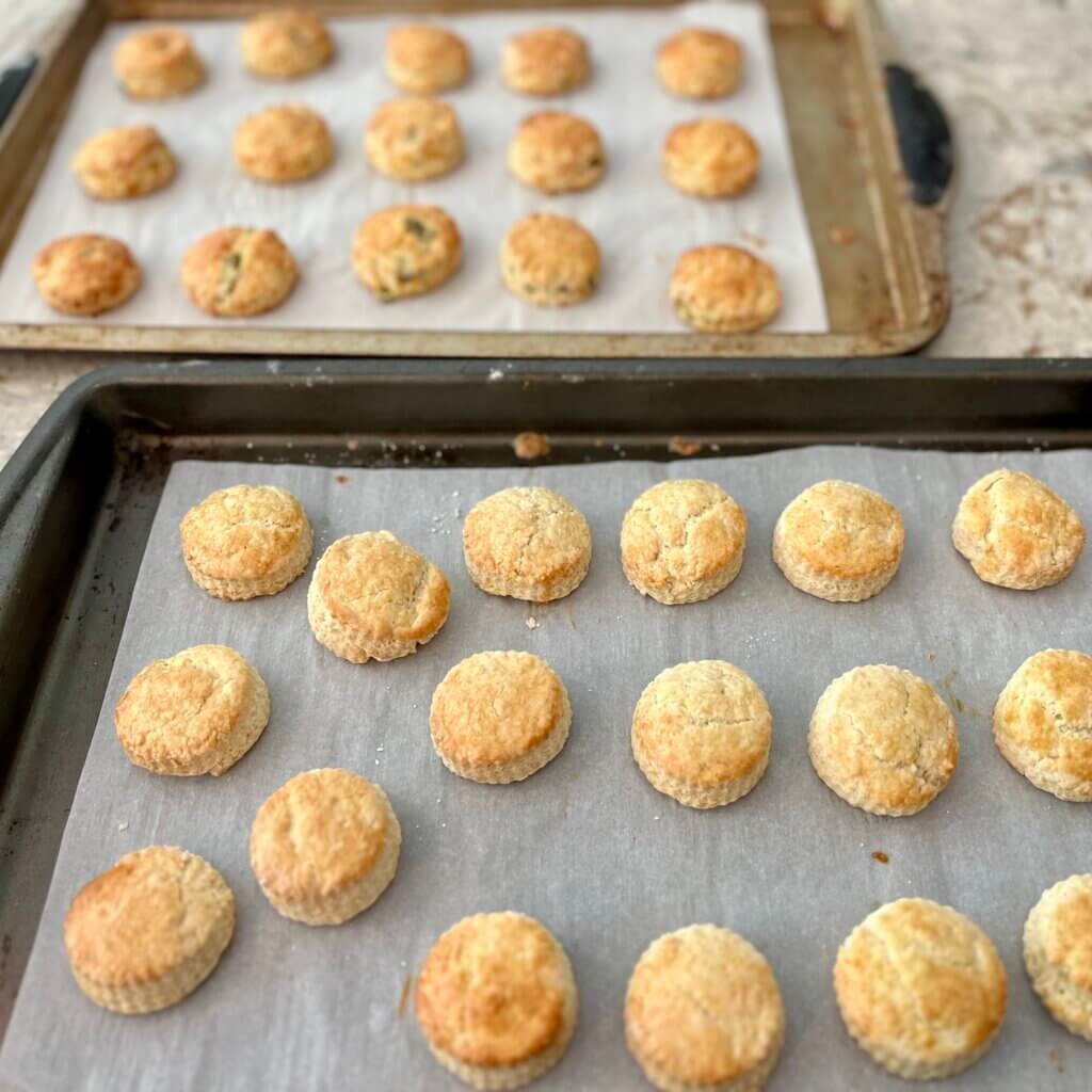 2 baking trays filled with freshly baked mini scones