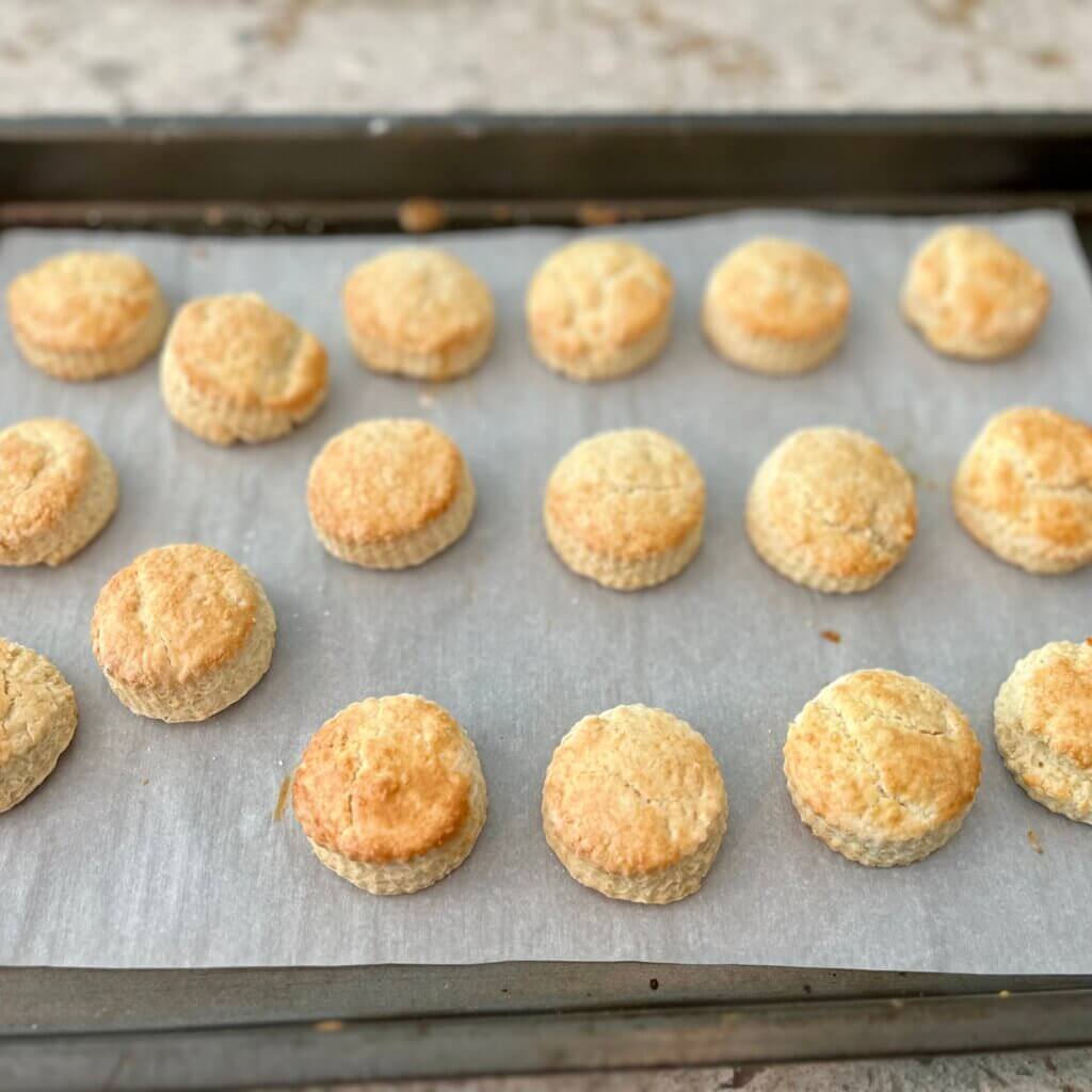 Freshly cooked scones on a baking tray, fresh out of the oven